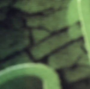 Meet your Posher, Wisa_